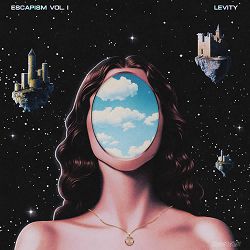 Levity, Dem Jointz - Flip It