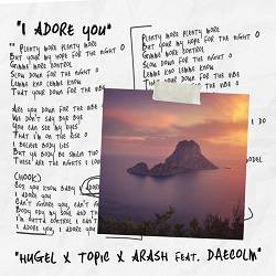 HUGEL, Topic, Arash - I Adore You (feat. Daecolm)