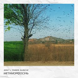 adm-t, Tember Blanche - метаморфосінь