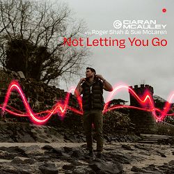 Ciaran McAuley, Roger Shah, Sue McLaren - Not Letting You Go