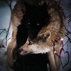 йо - привид