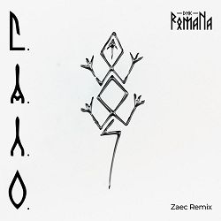 DNK RomaNa, ZAEC - С.А.Л.О (Zaec Remix)