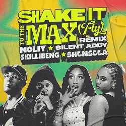 MOLIY, Silent Addy, Skillibeng, Shenseea - Shake It To The Max (FLY)  (Remix)