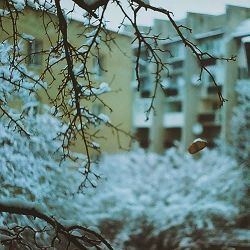 Хонест, Міша Правильний, keeroo - Сніг