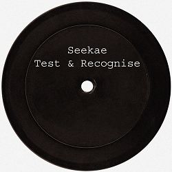 Seekae, Flume - Test & Recognise (Flume Re-work)